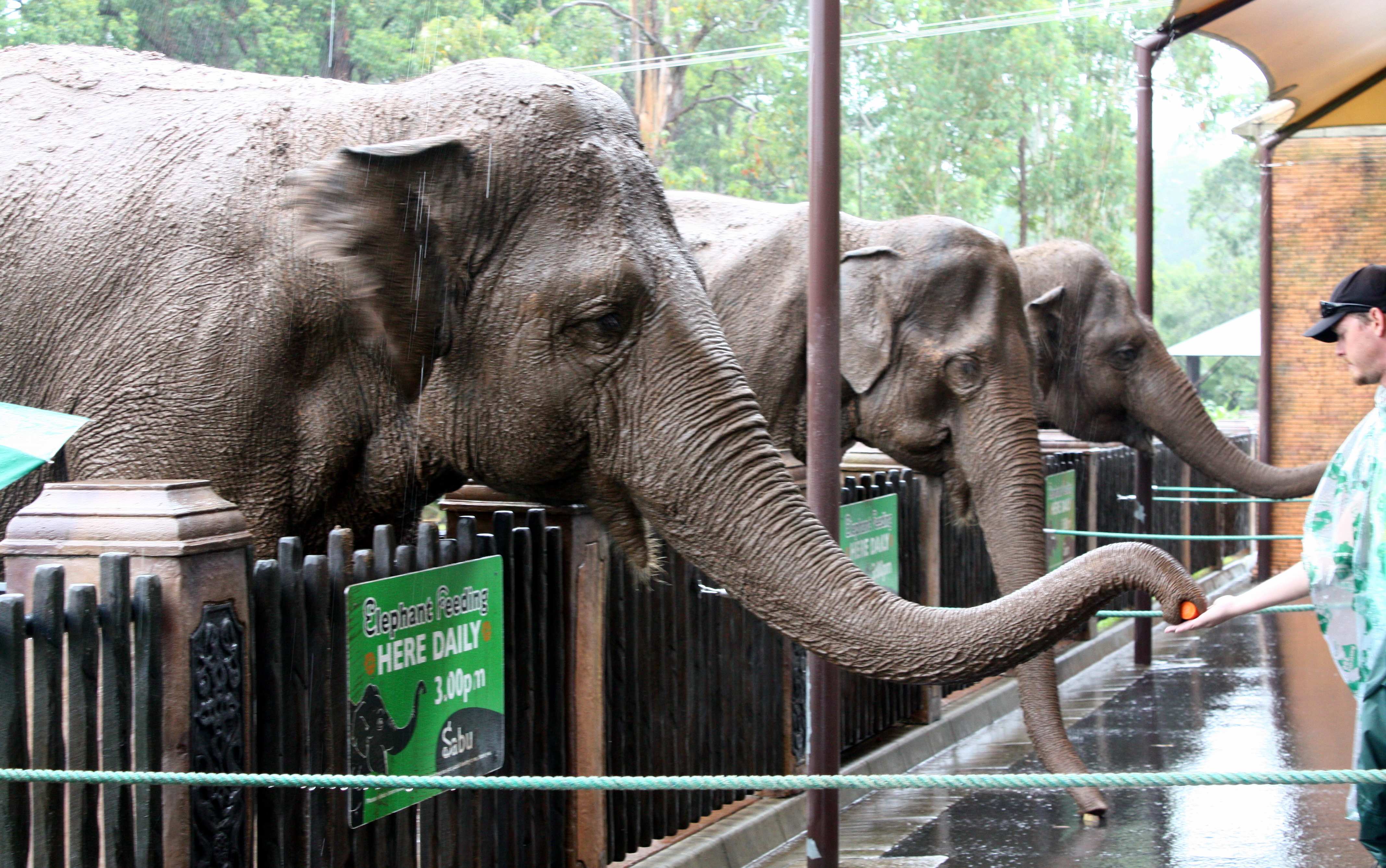 🦁 이토즈 숲 공원(이토즈노모리 코엔) 이미지 6